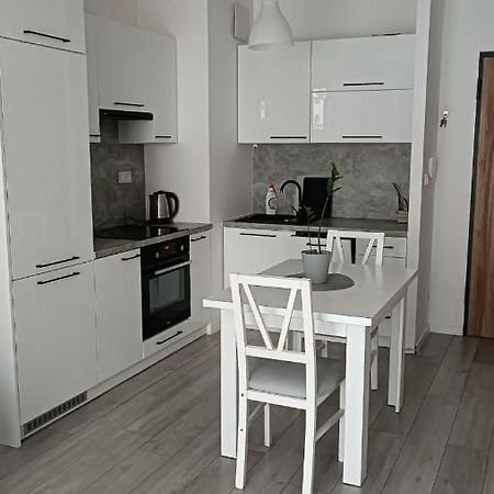 Apartment Z Ogrodkiem Na Warszawskiej Woli Varsavia Esterno foto
